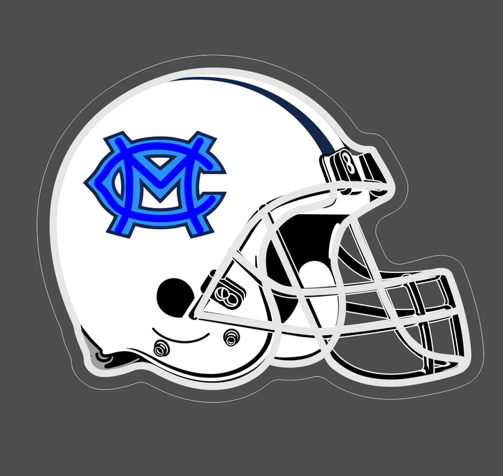 SELICOR Neon Helmet  Signs