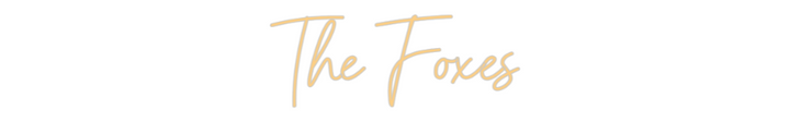 Custom Neon: The Foxes