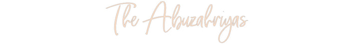 Custom Neon: The Abuzahriyas