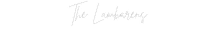 Custom Neon: The Lambarens