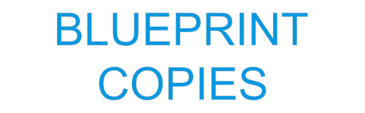 Custom Neon: BLUEPRINT
CO...