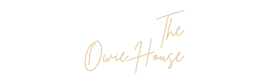 Custom Neon: The
Owie House