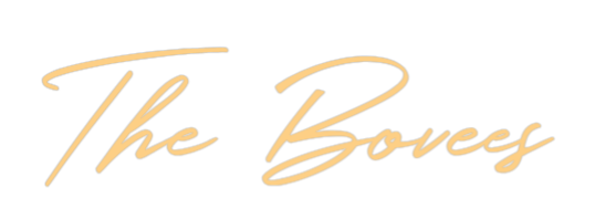 Custom Neon: The Bovees