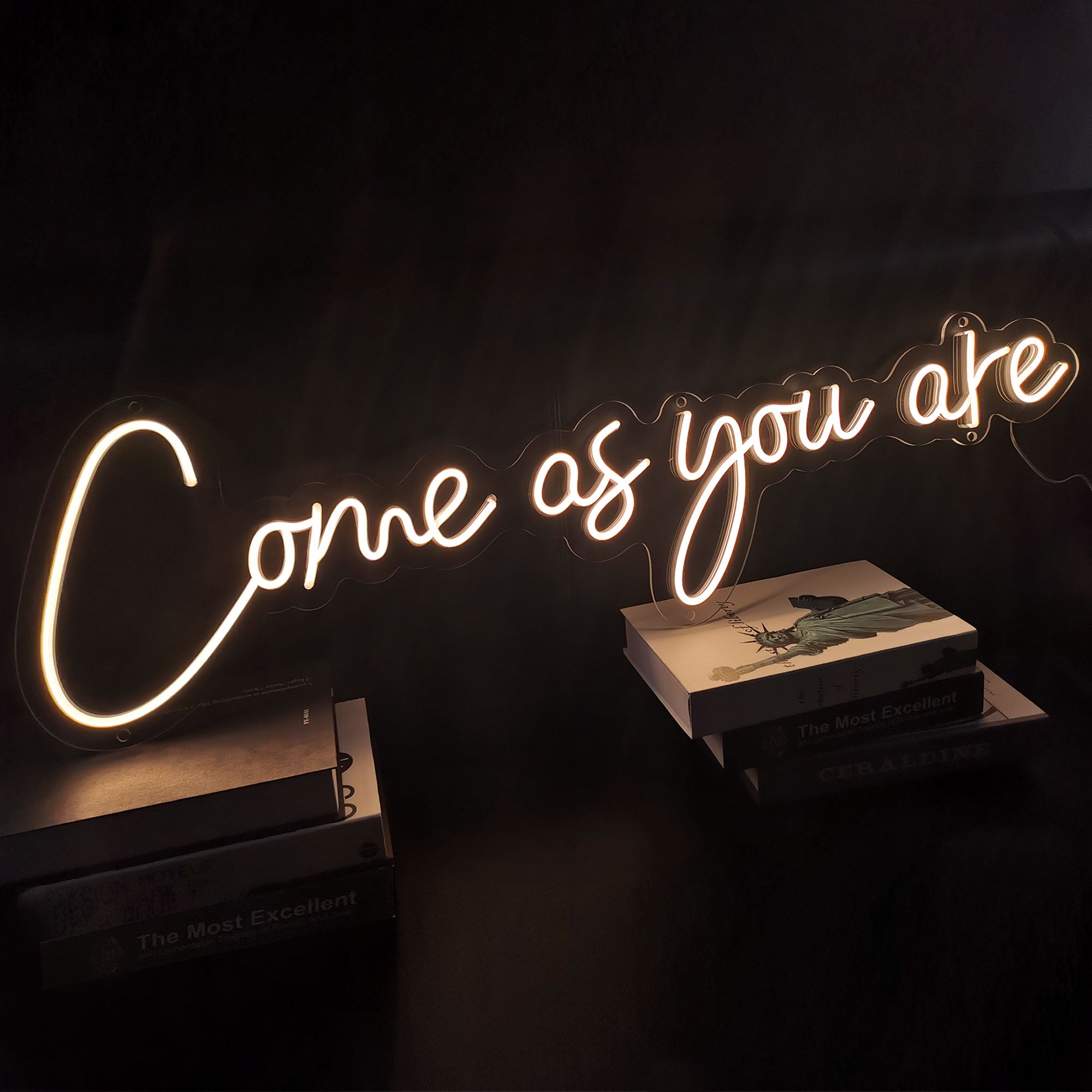 selicor come as you are neon sign decor room